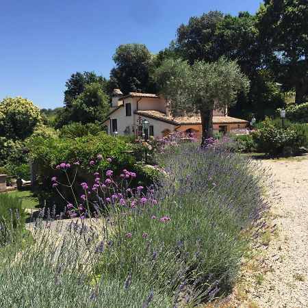 Olivella Villa กัมปาญญาโน ดิ โรมา ภายนอก รูปภาพ