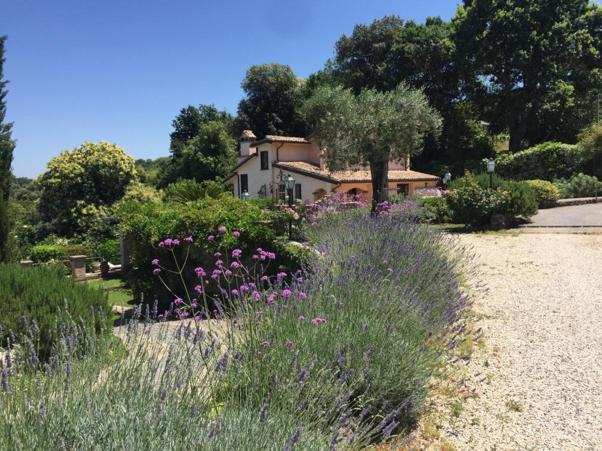 Olivella Villa กัมปาญญาโน ดิ โรมา ภายนอก รูปภาพ