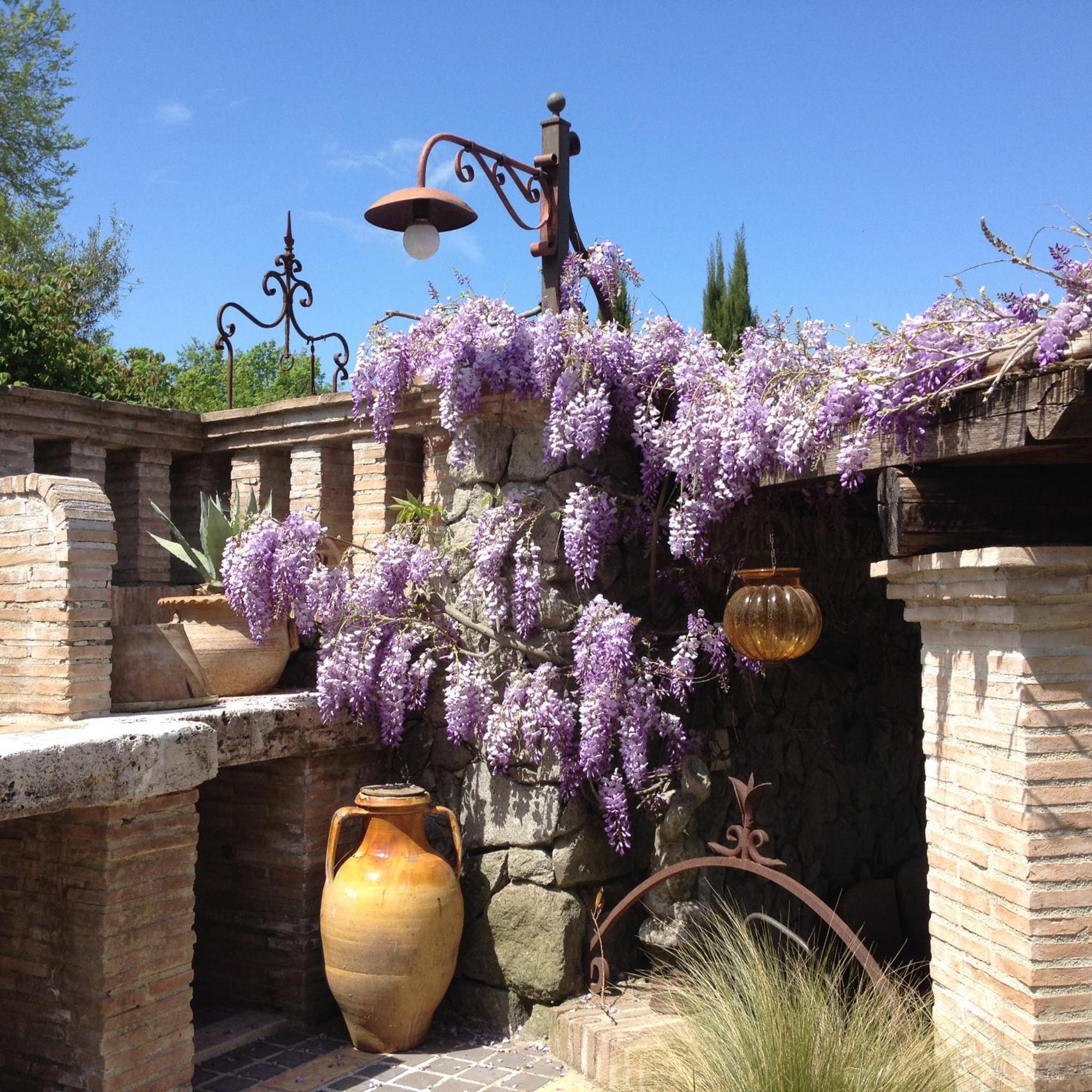 Olivella Villa กัมปาญญาโน ดิ โรมา ภายนอก รูปภาพ