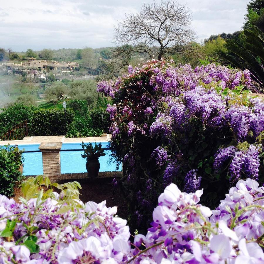 Olivella Villa กัมปาญญาโน ดิ โรมา ภายนอก รูปภาพ