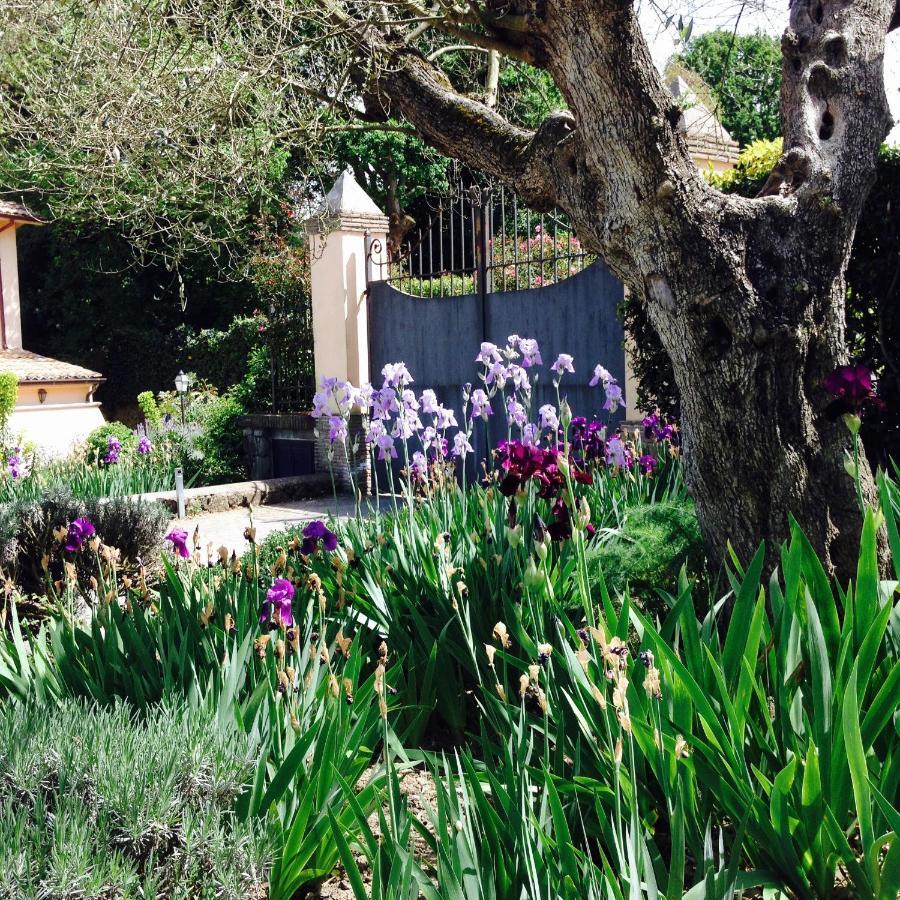 Olivella Villa กัมปาญญาโน ดิ โรมา ภายนอก รูปภาพ
