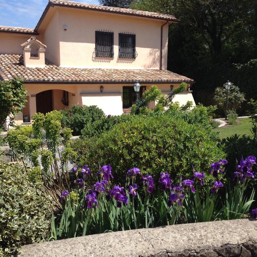 Olivella Villa กัมปาญญาโน ดิ โรมา ภายนอก รูปภาพ