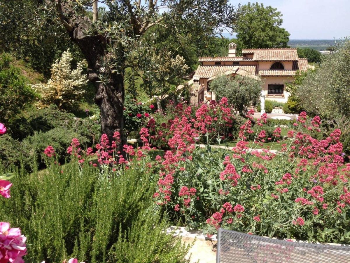 Olivella Villa กัมปาญญาโน ดิ โรมา ภายนอก รูปภาพ